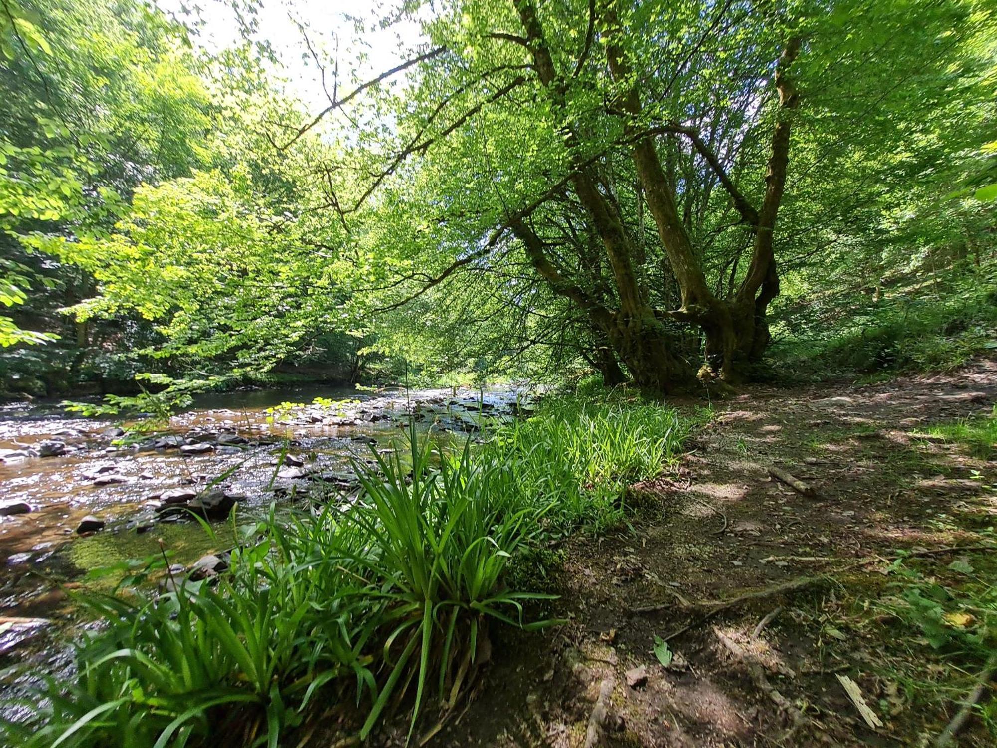 Ferienhaus Droefter Blick Monschau Eksteriør bilde