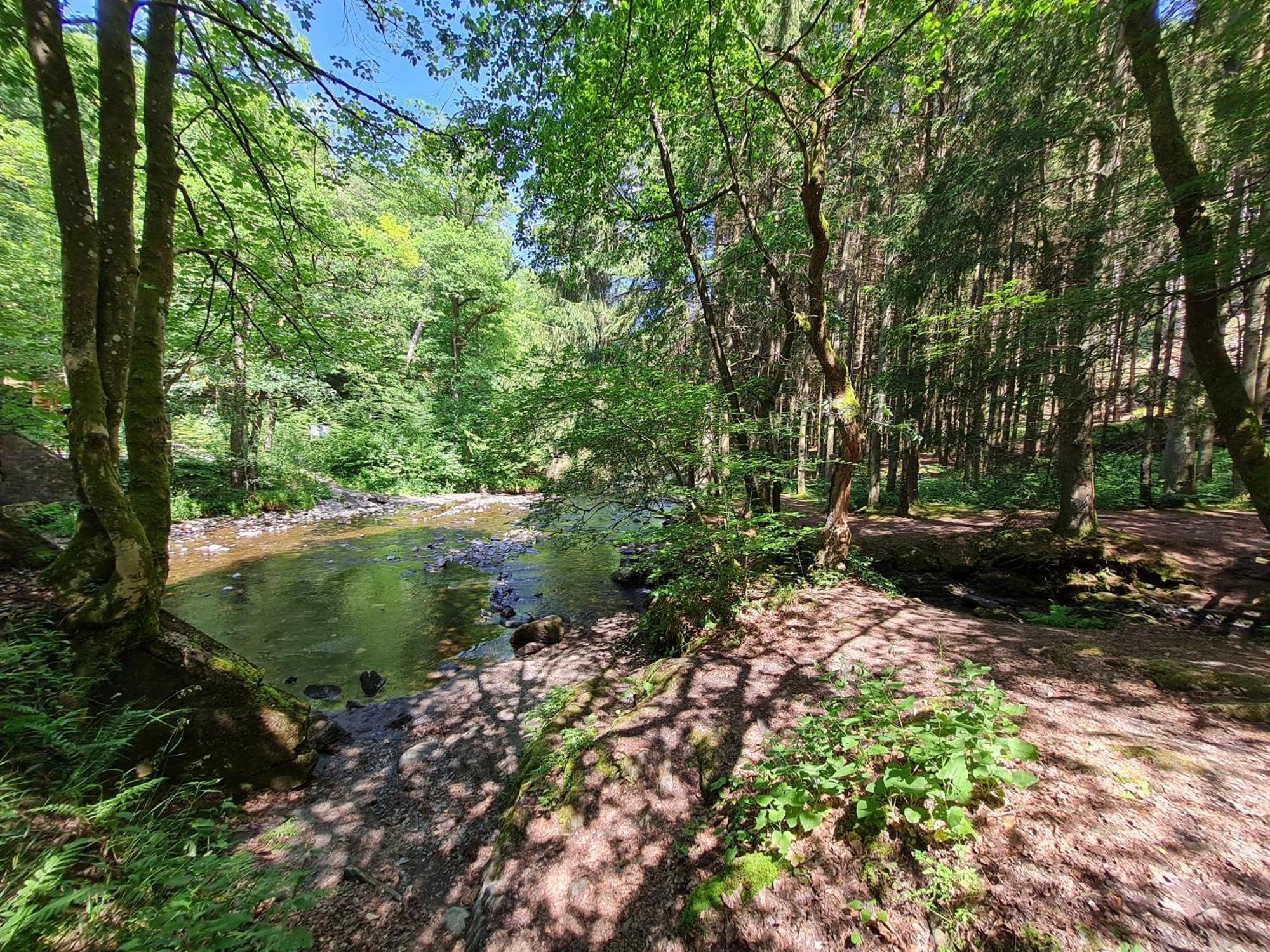 Ferienhaus Droefter Blick Monschau Eksteriør bilde